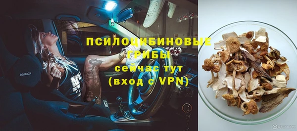 стаф Елизово