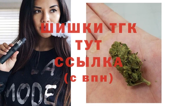 гашик Елабуга