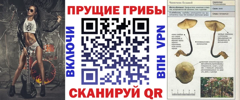 Галлюциногенные грибы мицелий  Купить  Карпинск 